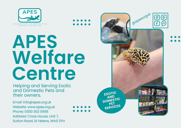 Please Print & Display Our APES Services Flyer